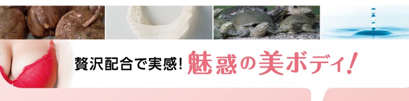 ����[���ƃv�G�����A���T�C�g